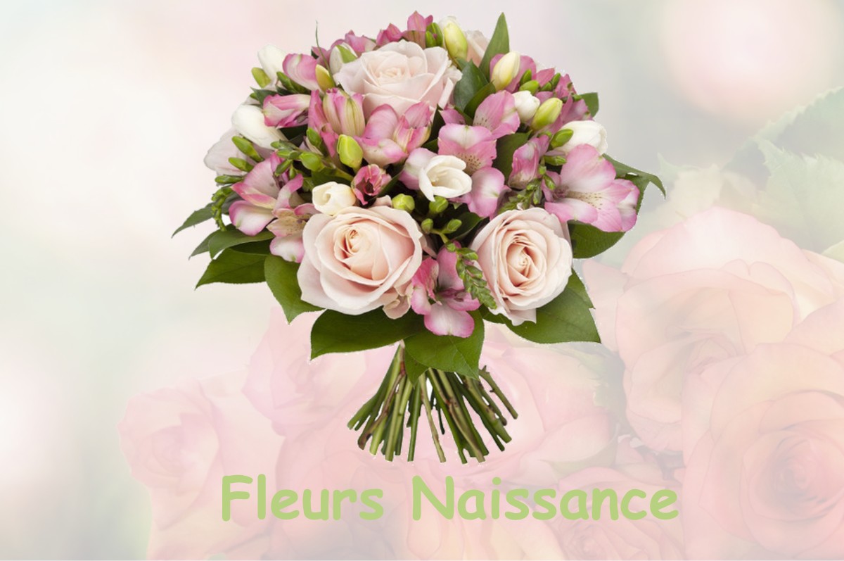 fleurs naissance MAREUIL-LES-MEAUX